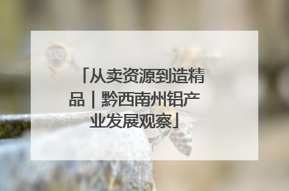 从卖资源到造精品｜黔西南州铝产业发展观察